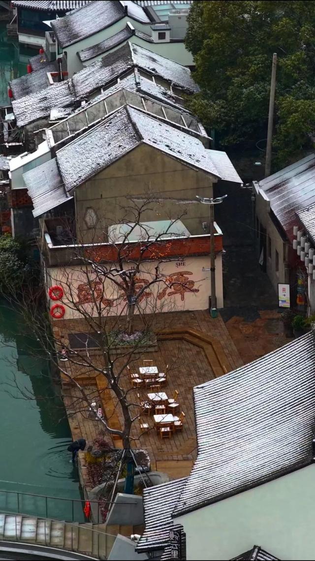 定格浪漫！吴江初雪美景图鉴！