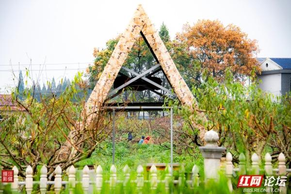 别追景点了！安乡这两个村，全是乡村最接地气的鲜活