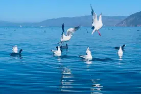 官宣！又一国家与中国互免签证【新闻早知道】图片