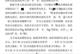 长沙一老板去世后亲属发现其子系代孕所生，监护人否认非法使用千万遗产图片