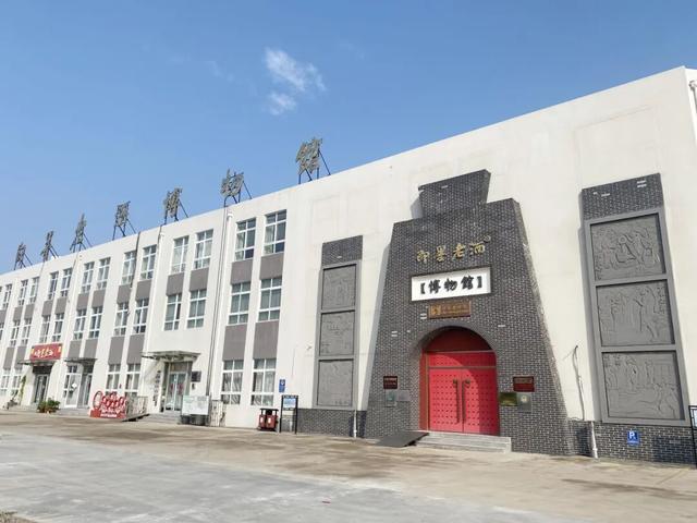 种草！青岛这几条康养路线，解锁秋日松弛感