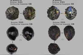 东亚古人类首个完整“食谱”什么样？数万年前已懂“肉+菜”｜水落石出濛溪河图片