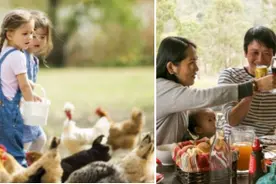 海陆空畅玩澳洲！暂别喧嚣，静享闲适图片