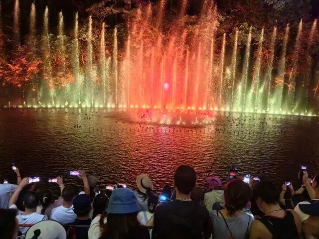 家门口乐享夜游盛宴！千山奇妙夜受鞍山市民热捧