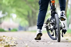 春季踏青与自然同行：自行车归类指南图片