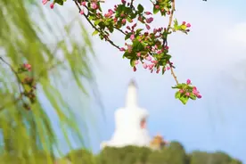 四月的北海公园，连风都带着花香图片