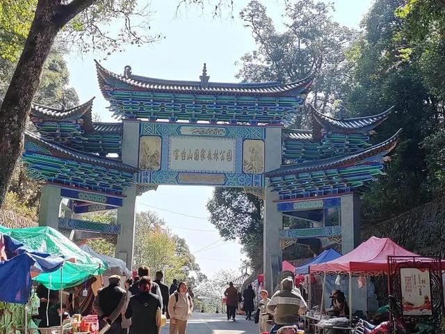 大理+滇西5县深度游！10条主题线覆盖非遗、古镇、美食、康养，这篇攻略直接抄作业