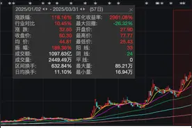 这些翻倍牛股，外资大量买入图片