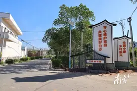 电白区小良镇白沙村：民生工程火热，群众生活更美图片
