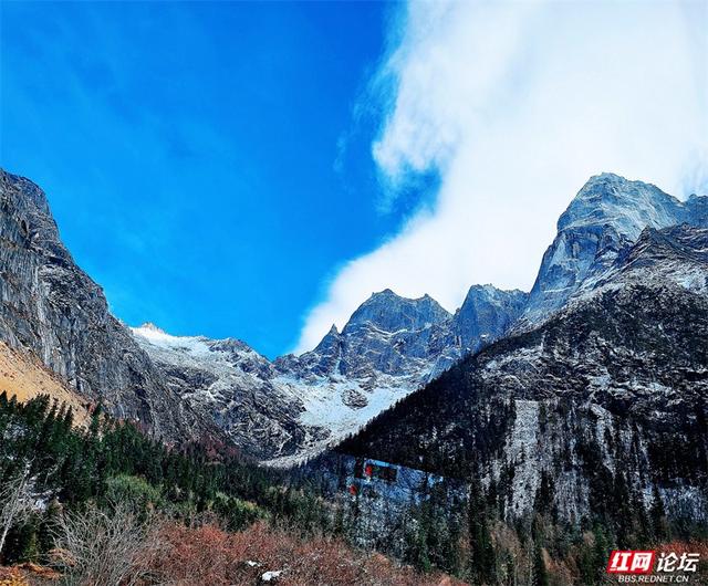 听，雪落下的声音！这里是四姑娘山的冬天