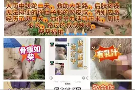 数百人捐款10万元救狗，一捐款人质疑账目不清被踢出群，双方回应图片