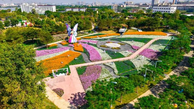 专属中山的限定浪漫花海来了！购票全攻略→