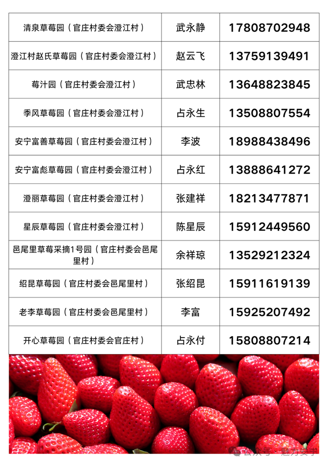 熟了熟了！周末走起！昆明采摘地图“上新”，速来eat→