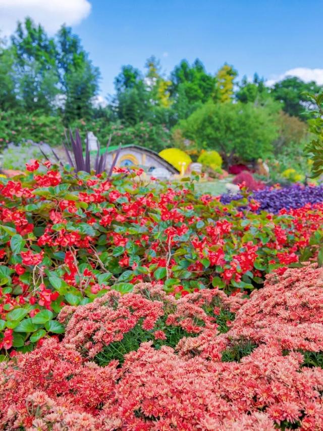 秋天基础，盐城的秋景就不基础！