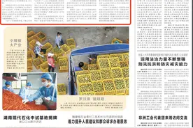 湖南法院争创一流法治化营商环境—— 让经营主体感受到司法的浓浓善意图片