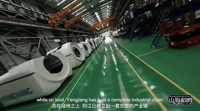 多位外籍网红博主“打卡”阳江