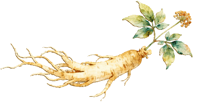 瞰见“百千万”丨清城江畔民宿集群，藏着你的 “诗与远方”