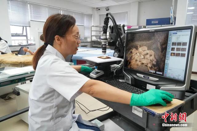中国新闻社 | 人这一辈子，一定要去一趟荆州品千年楚韵