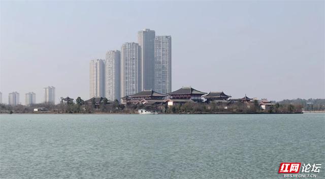 【赴春之约】暂别喧嚣，在松雅湖的春光里，晒一场关于新年的暖阳