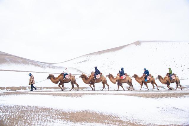 甘肃敦煌：雪落大漠景如画