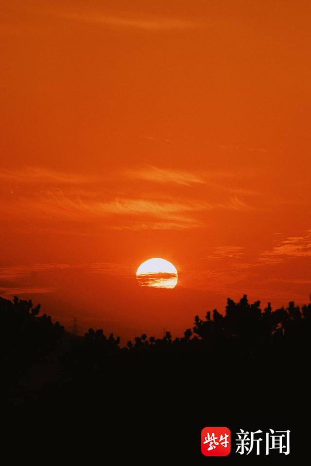 四季山林入窗来，镇江首家森林图书馆云山驿成文旅新打卡地