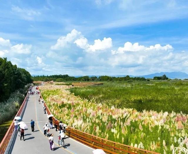 “每一棵树都绿意盎然” ！诺奖得主丹·谢赫特曼盛赞昆明生态建设与城市发展