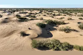 特稿丨防治荒漠化 让人类共享健康土地机遇图片