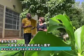 中非合作论坛｜音乐无国界——中国音乐平台助非洲友人圆梦图片