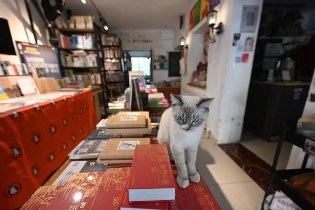 12月，必须来沈阳了！