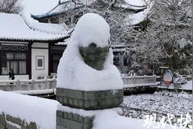 瑞雪兆丰年！江苏下雪啦图片