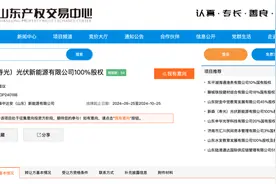 帝森中达安(山东)新能源挂牌转让寿光子公司100%股权图片
