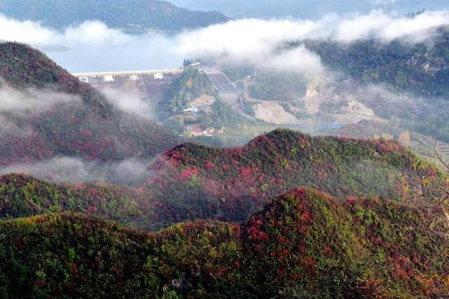 南漳：聚仙观顶望秋深 一笔胭脂染万岑