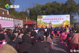 吃柑正是时候！博罗县杨侨镇首届柑桔文化节开幕图片