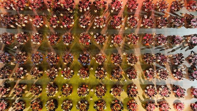 沉浸式文旅体验，乡亲们看到一个活色生香新南海｜恳亲大会