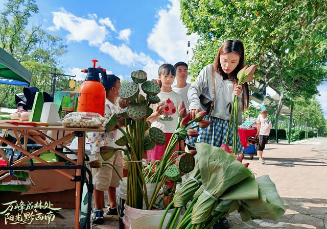 贵州安龙：一场以荷花为主题的文旅活动背后……