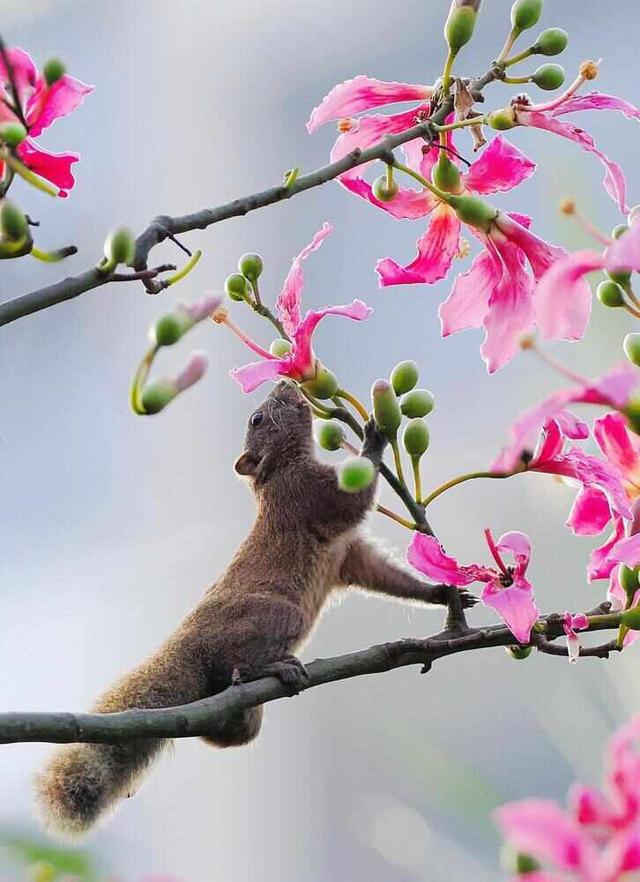 这封珠江公园的“绿色”家书中，藏着广州CBD的“四季画廊”｜信暖珠江④