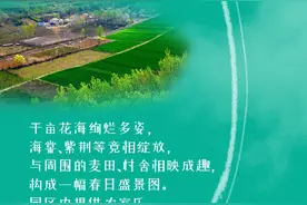 2024蓝田县全域旅游季“四时蓝田”文旅线路发布图片