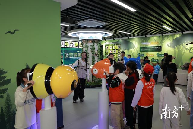 广东蕉岭长潭省级自然保护区成功举办“丛林奇遇记”