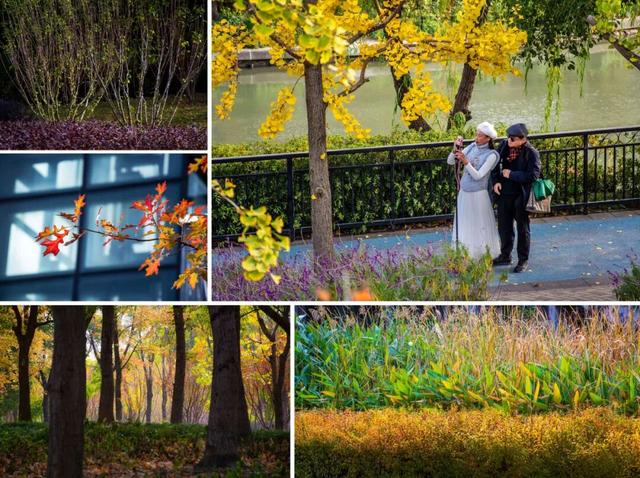 秋冬限定的普陀，美到让人流连忘返，你还不来打卡吗？