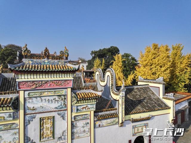 美不胜收！长沙县藏着一个五彩斑斓的秋丨组图