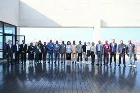 广州港国际班轮航线已实现非洲重要港口全覆盖图片