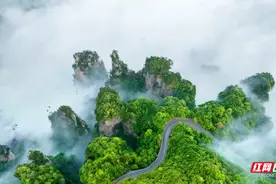 【新春走基层】84元可游四天！春节期间，张家界国家森林公园依旧是半价图片