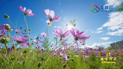 短短60年，西藏为何能跨越上千年？