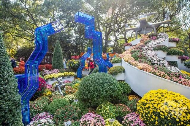 从8点堵到现在！杭州顶流回归