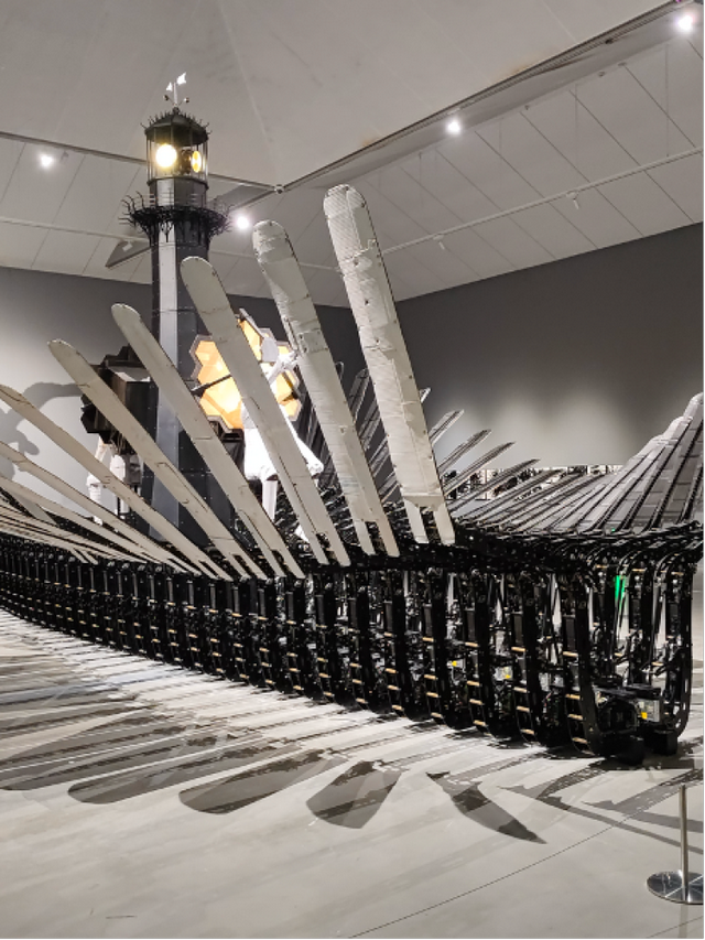 朱家角河水变身“果冻”河！青浦率先参加“旅超”大赛，一批新玩法上新，本周多景区折扣