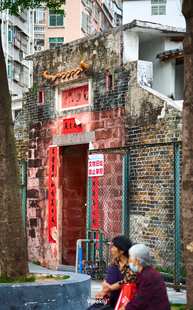 “这条路线，建议深圳人都去一遍”