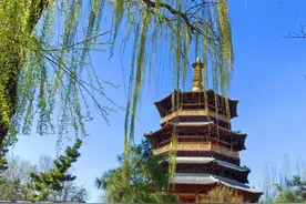 明水古城春意正浓图片