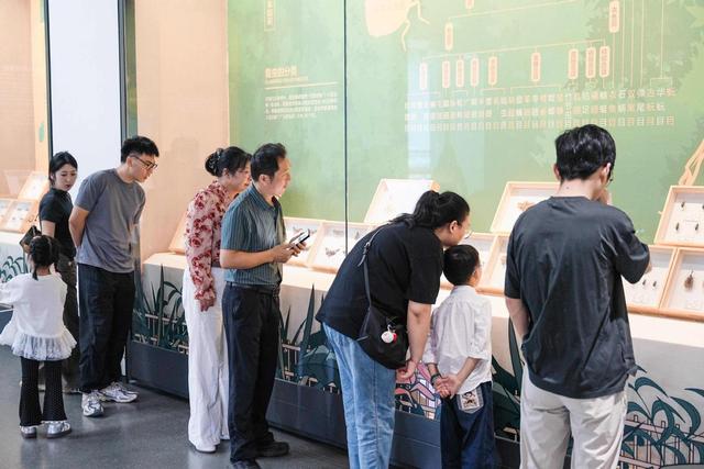盐博月华霓裳・家国共聚团圆 盐城市博物馆 2025 国庆中秋双节活动精彩纷呈
