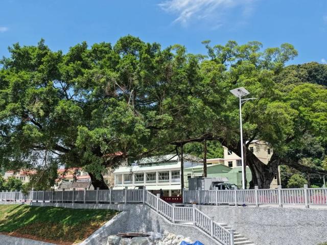 龙门3大景点焕新颜！从破旧到网红，这些景点有“颜”又有“料”