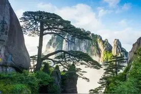乘池黄高铁 游秀美黄山 百家文旅企业喜迎高铁“免减优”图片